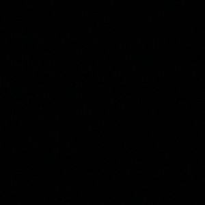 Meet your Posher, Kaylee